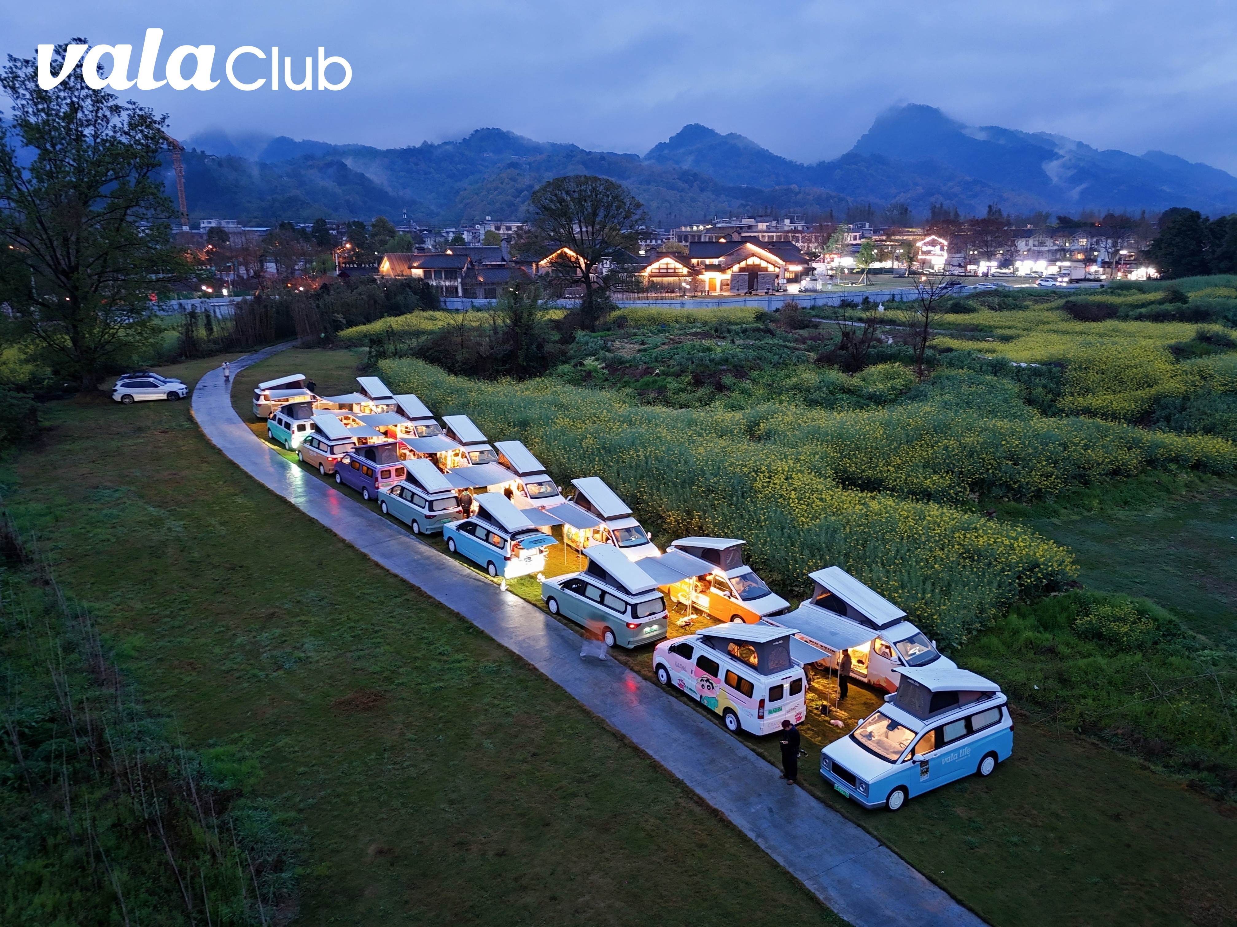 VALA集团发布2025年财报