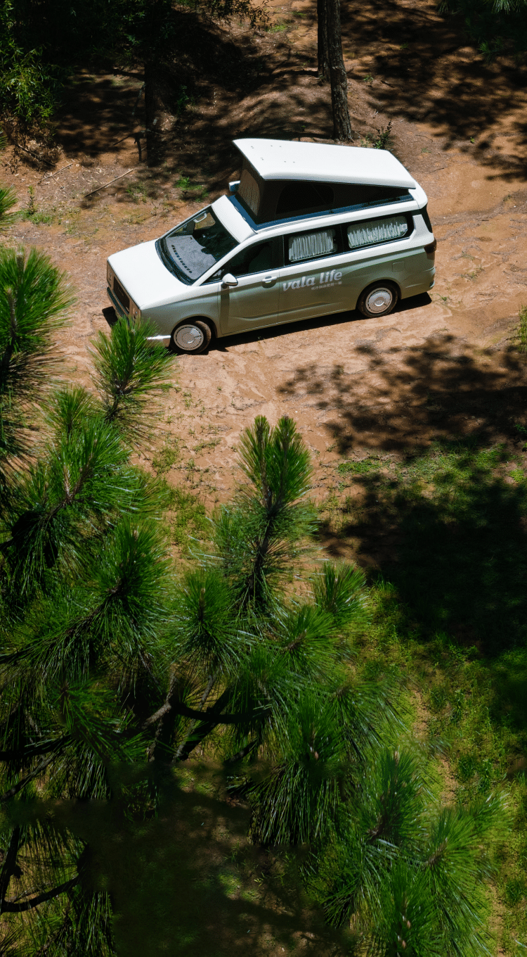 经典美学斜升顶 革命性设计先驱