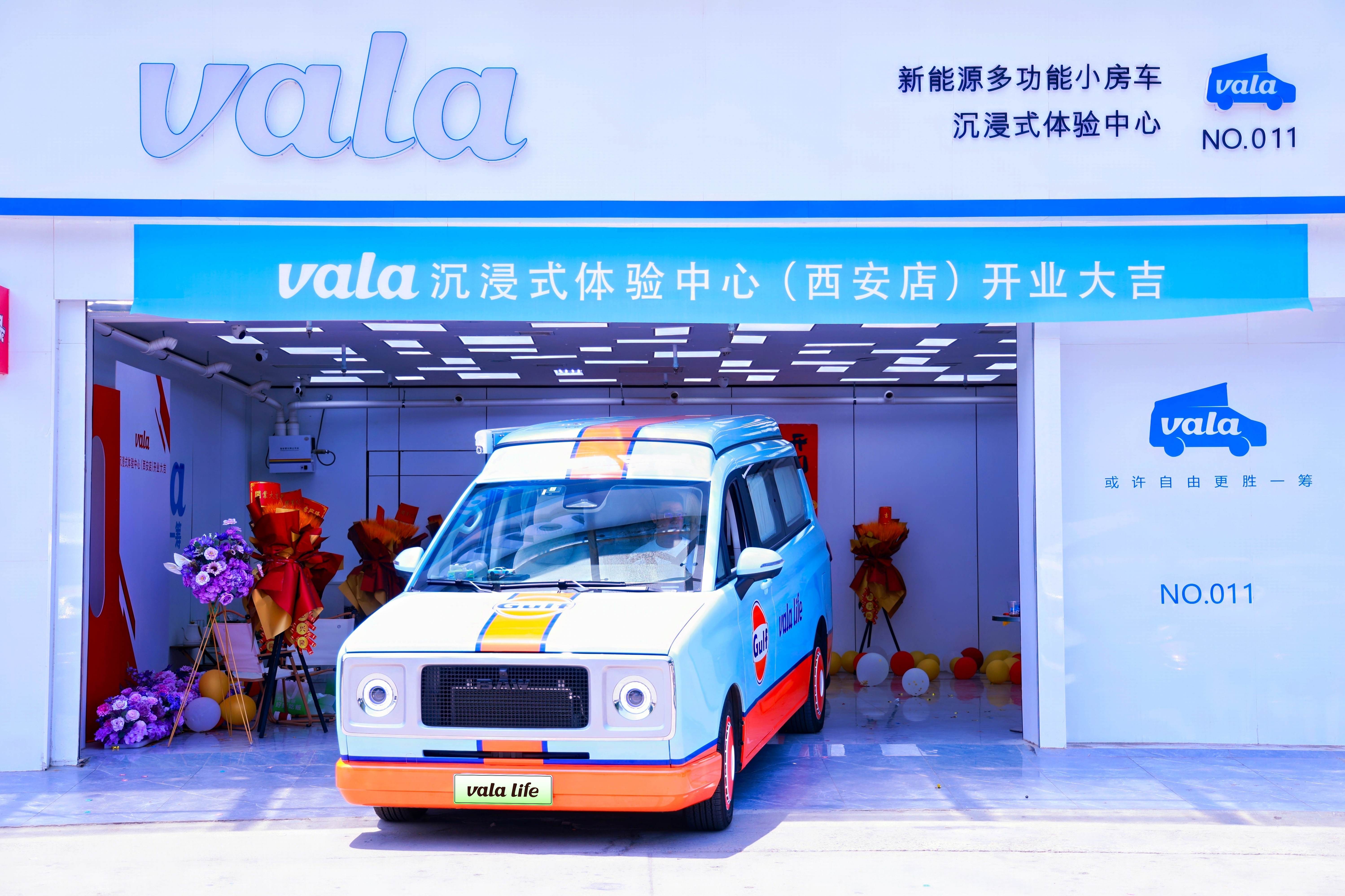 VALA集团发布2025年财报