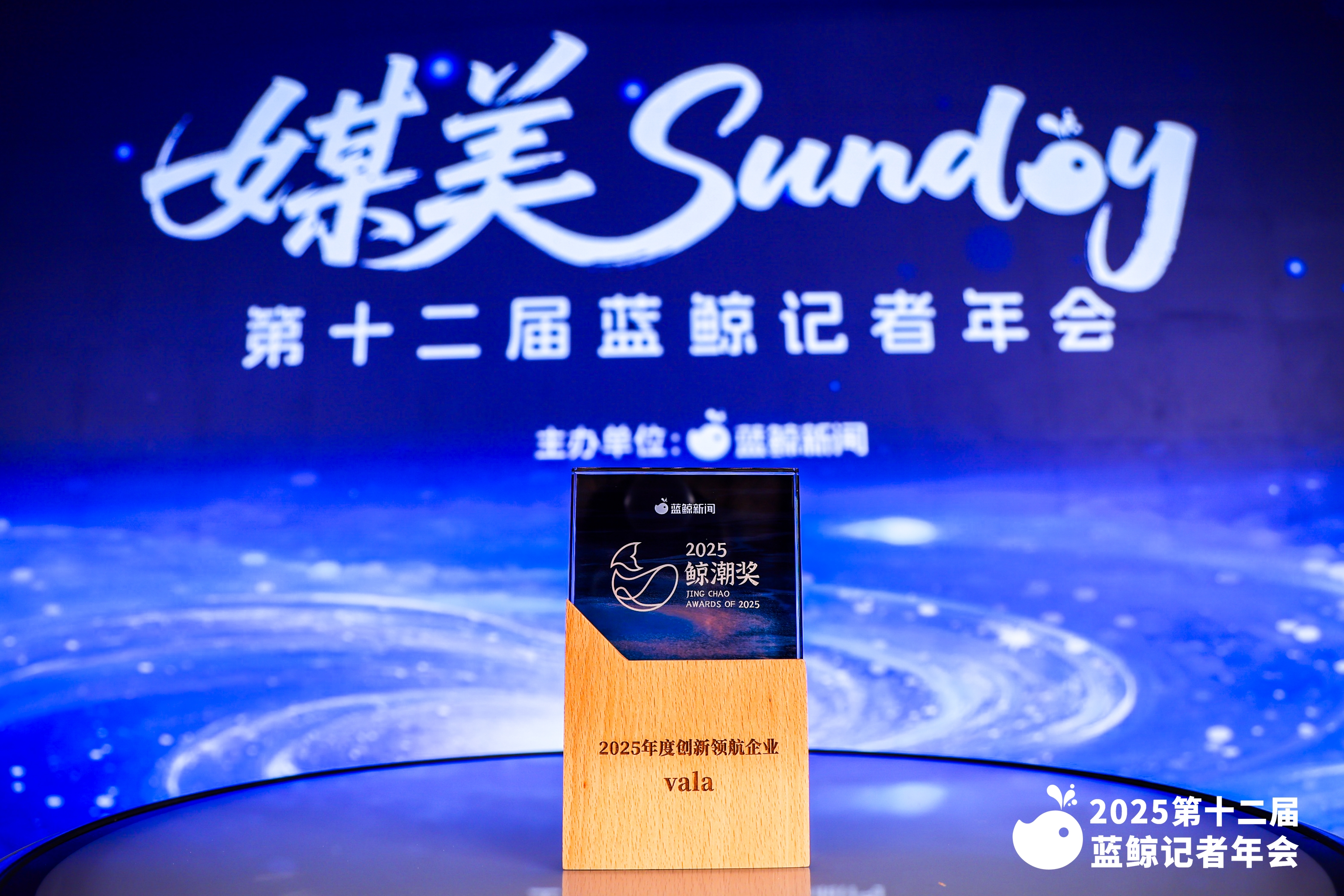 vala汽车斩获2025年度创新领航企业