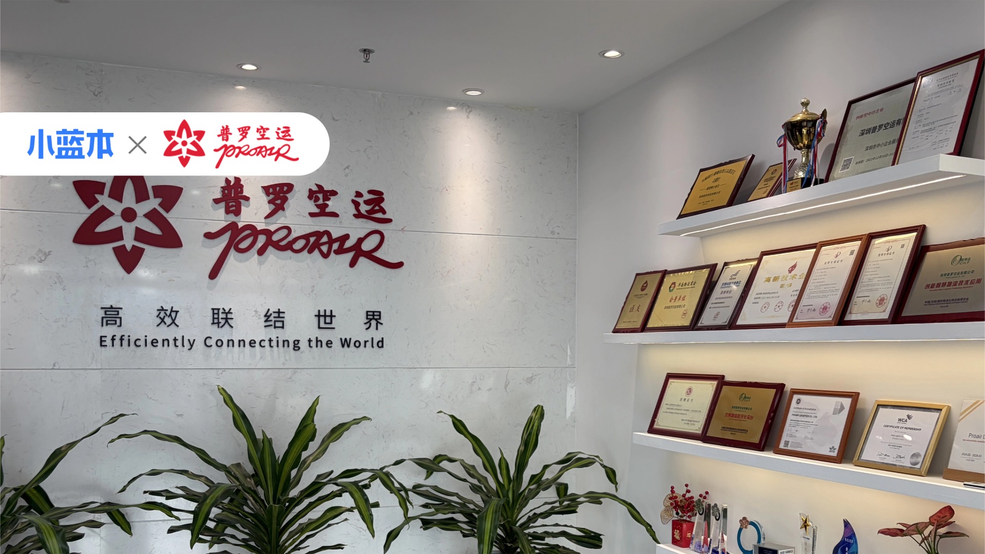 普罗空运:用AI打破国际空运行业增长边界,智能拓客撬动全球市场新增量